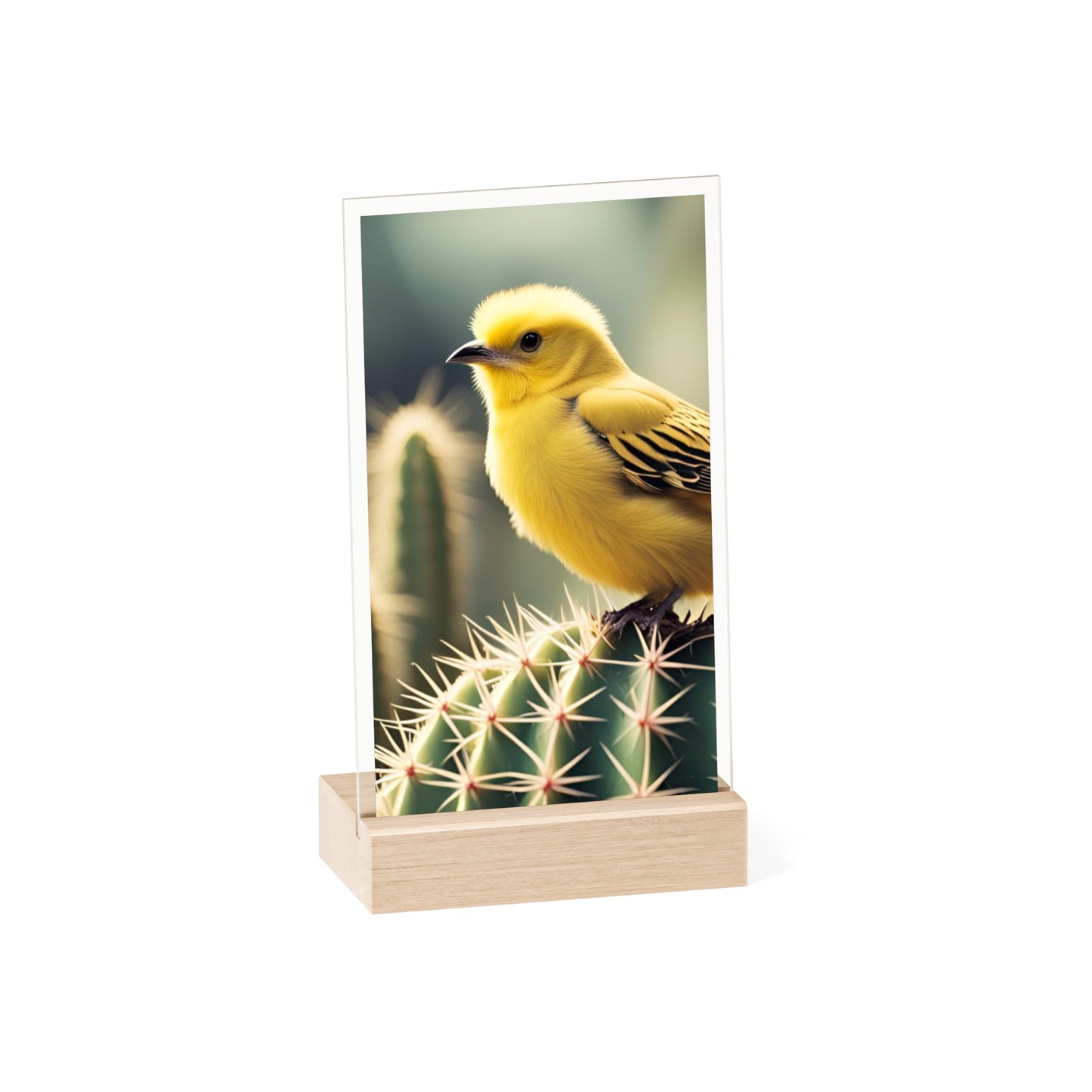 Acrylic Sign, Natural Bird Cacti Design, Home Office Decor Trend, Beautiful Country Style, Gift, Desk, Bureau Cadeu Idee Vogel Cactus