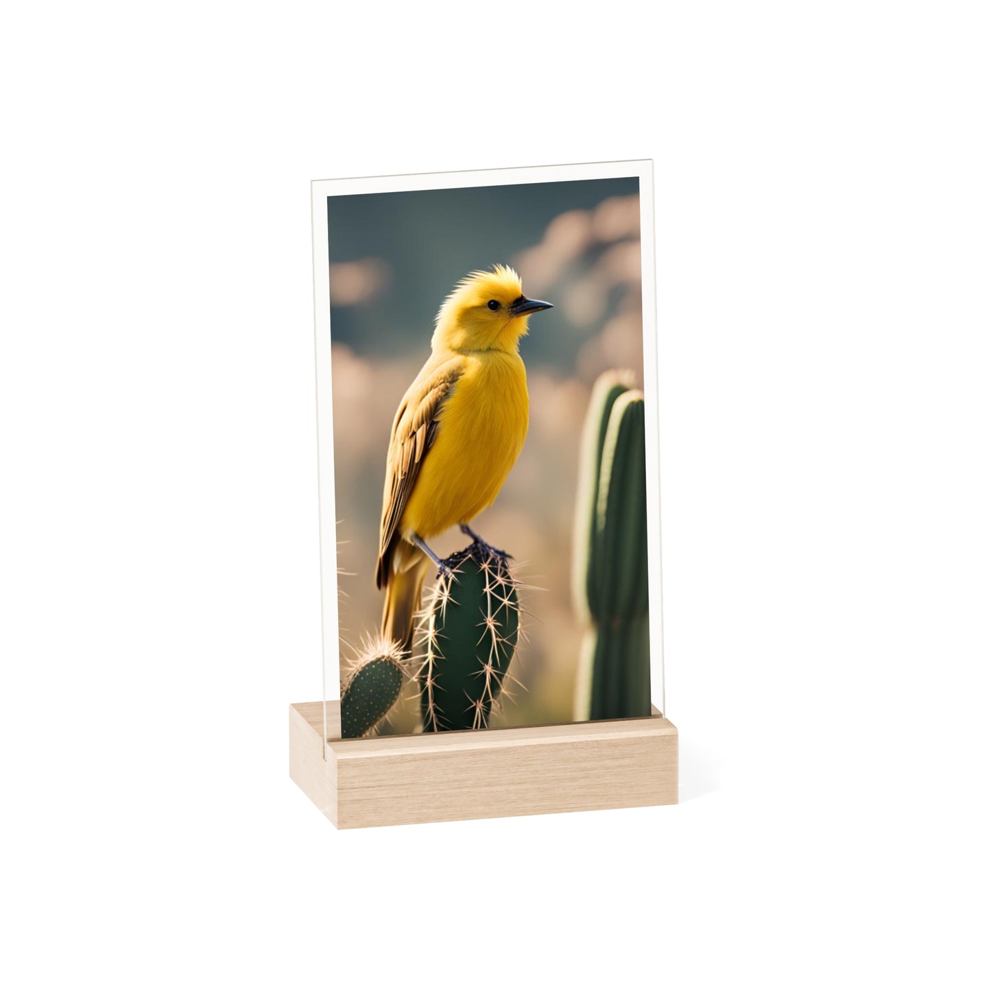 Acrylic Sign, Natural Bird Cacti Design, Home Office Decor Trend, Beautiful Country Style, Gift, Desk, Bureau Cadeu Idee Vogel Cactus