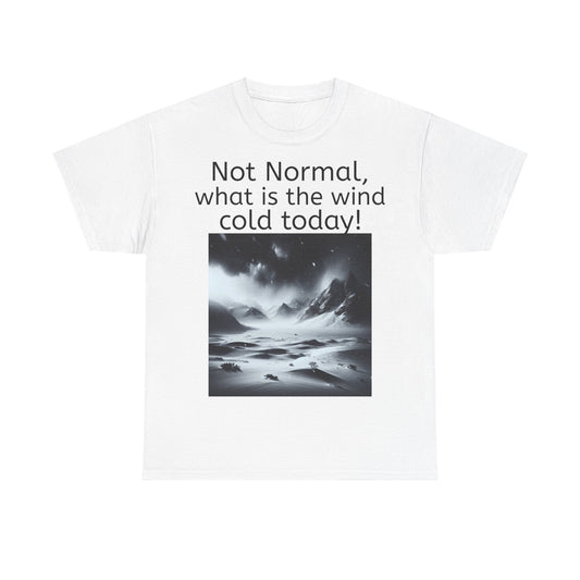 Grappige Unisex Katoenen T-Shirt - What is the wind cold today! - Pun Funny Dutch Shirt Language Gift Idea
