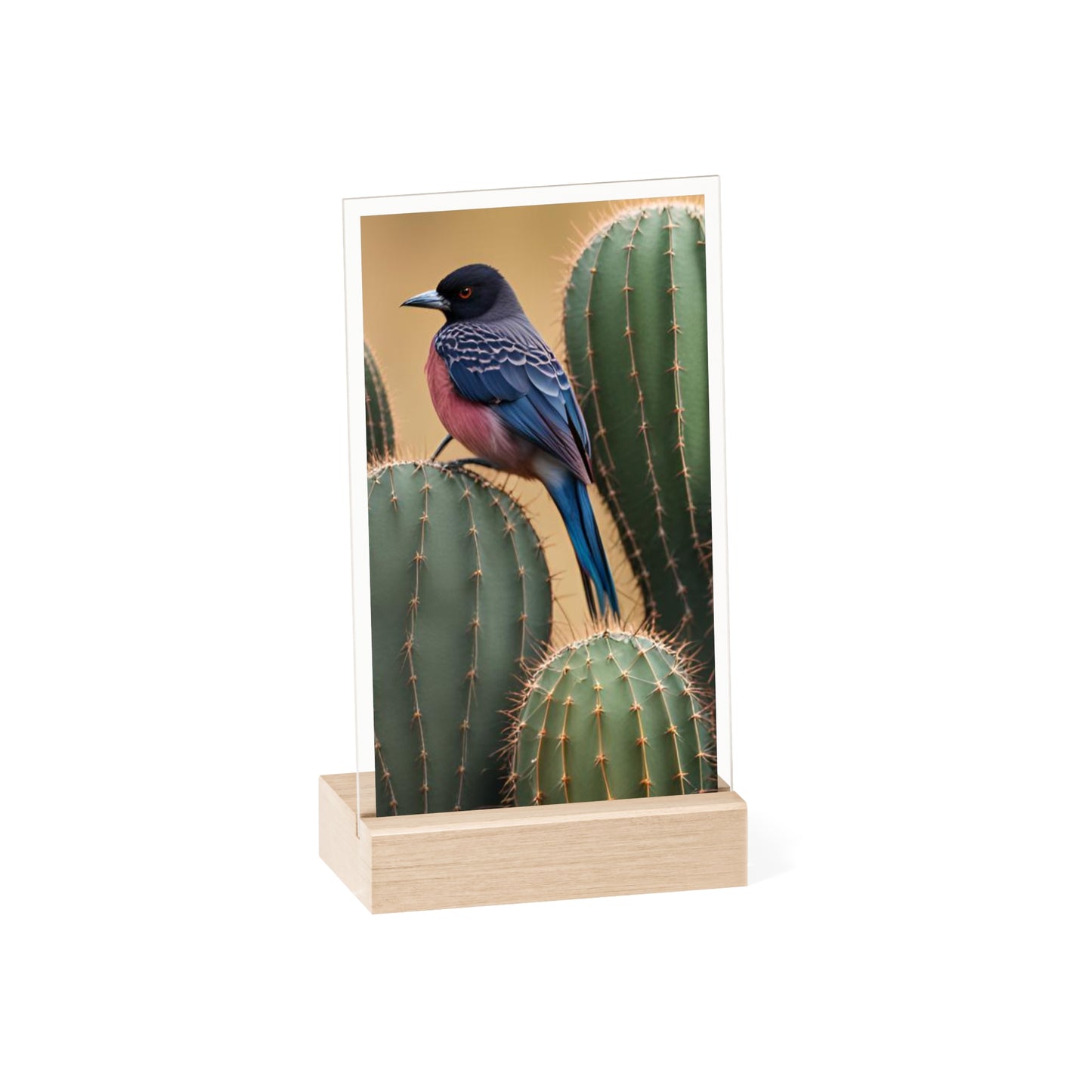 Acrylic Sign, Natural Bird Cacti Design, Home Office Decor Trend, Beautiful Country Style, Gift, Desk, Bureau Cadeu Idee Vogel Cactus