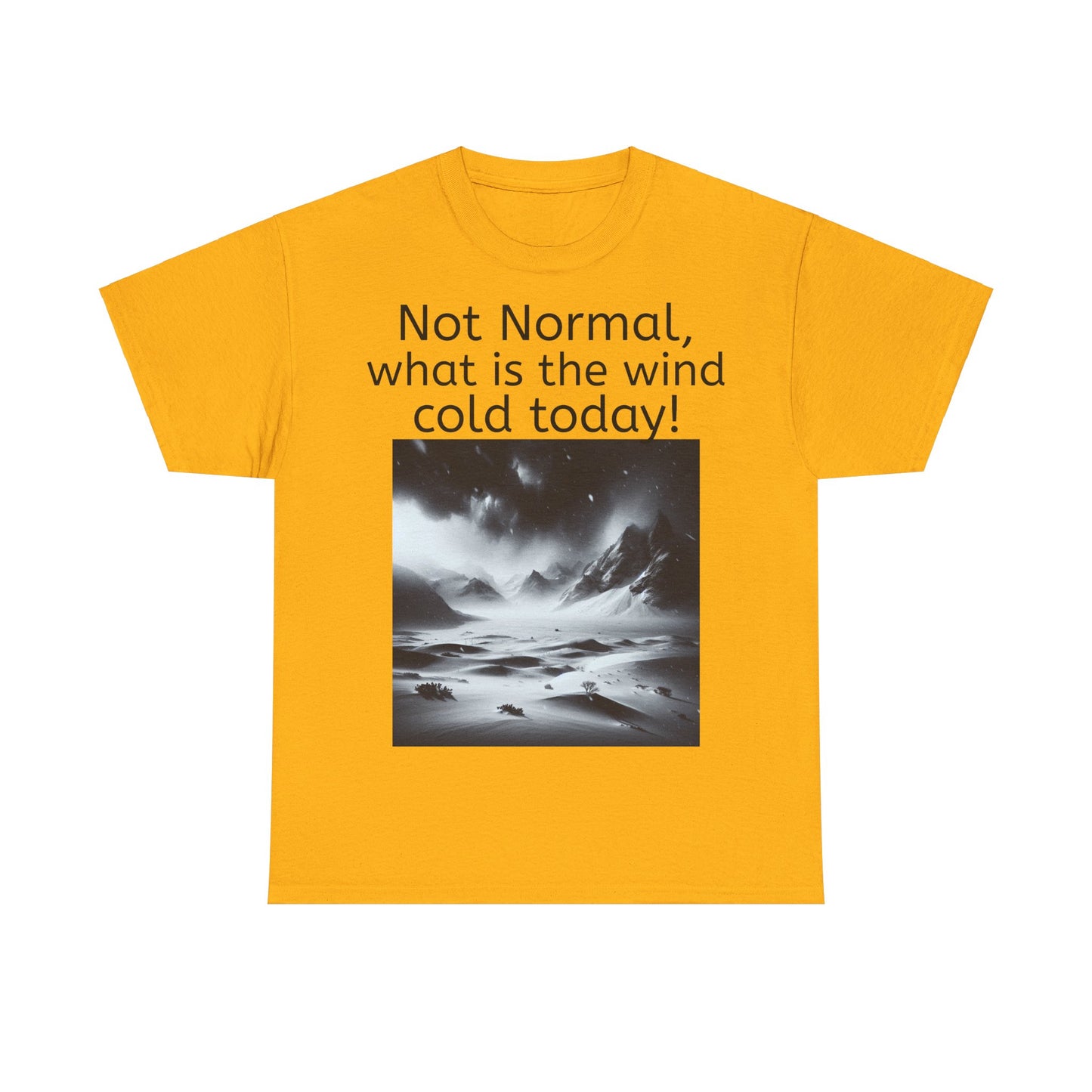 Grappige Unisex Katoenen T-Shirt - What is the wind cold today! - Pun Funny Dutch Shirt Language Gift Idea