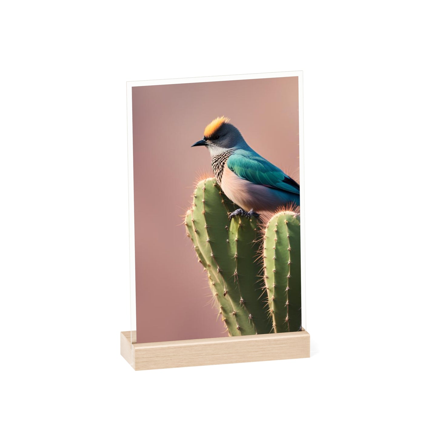 Acrylic Sign, Natural Bird Cacti Design, Home Office Decor Trend, Beautiful Country Style, Gift, Desk, Bureau Cadeu Idee Vogel Cactus