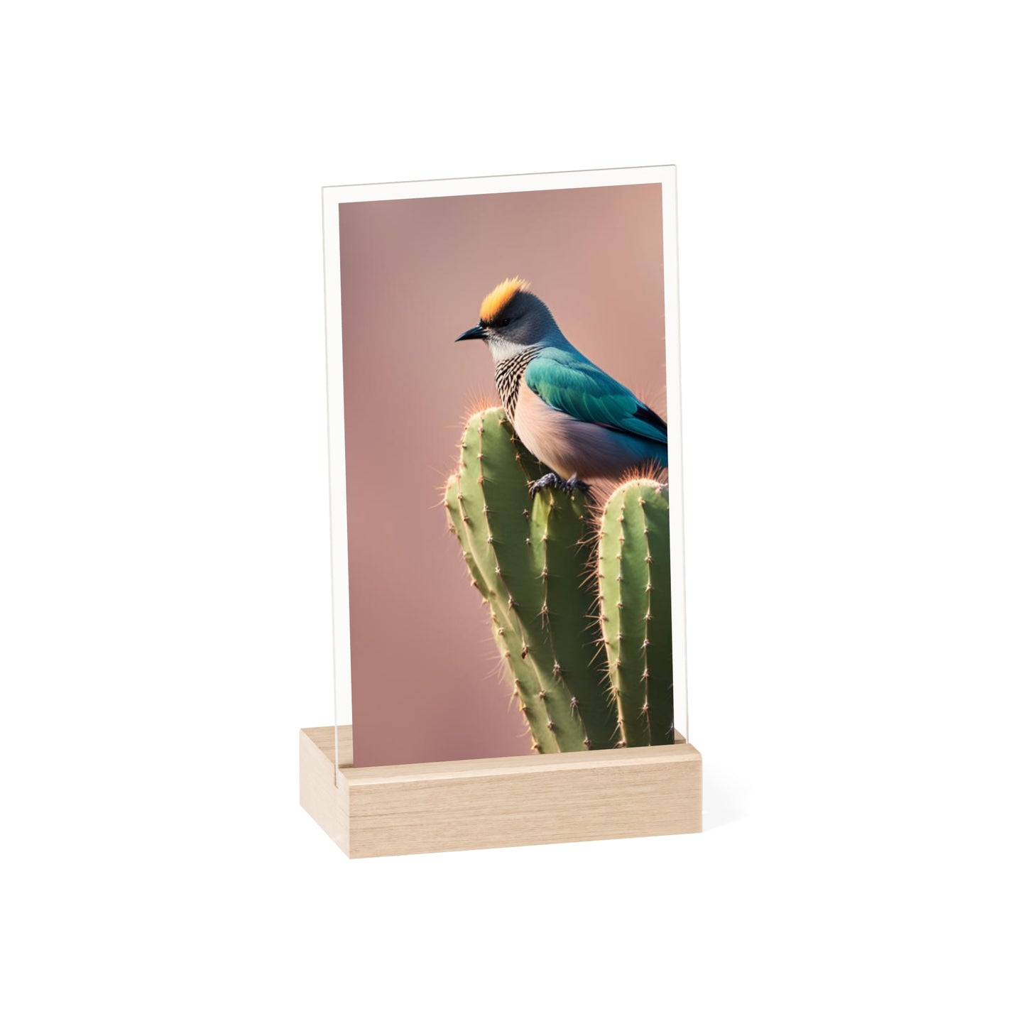 Acrylic Sign, Natural Bird Cacti Design, Home Office Decor Trend, Beautiful Country Style, Gift, Desk, Bureau Cadeu Idee Vogel Cactus