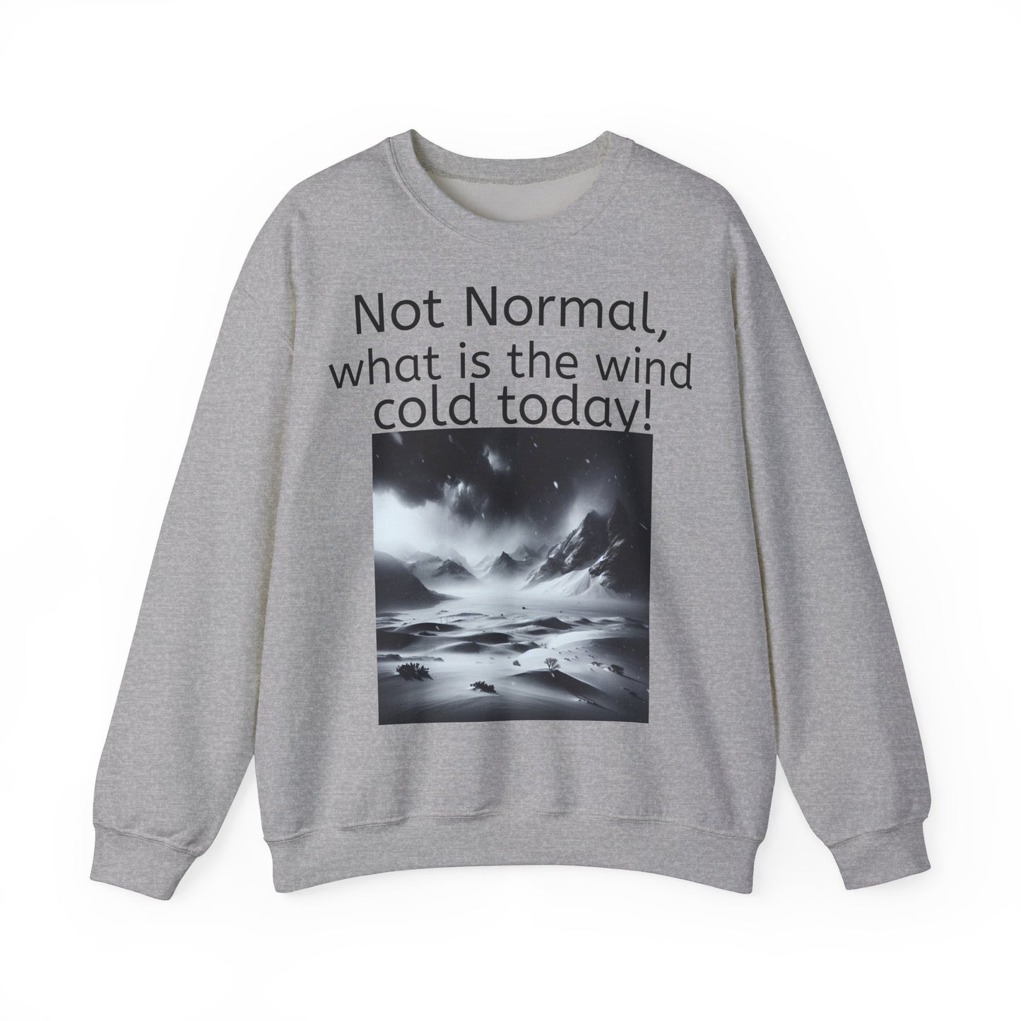 Grappige Unisex Katoenen/ Polyester Sweater Sweatshirt - Not Normal Wind Cold - Pun Funny Dutch Shirt Language Gift Idea Spreekwoord Funny
